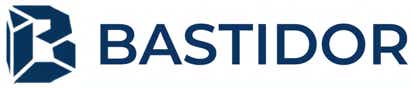 BASTIDOR Intelligence Group logo