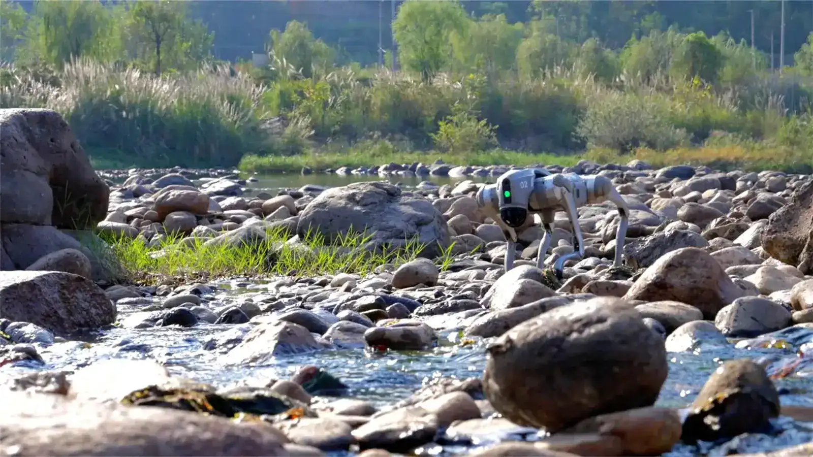 Unitree Go2 robot dog crossing rocks in a stream, the quadruped BASTIDOR uses for construction documentation
